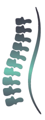 columna columna